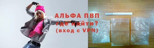 сатива Корсаков