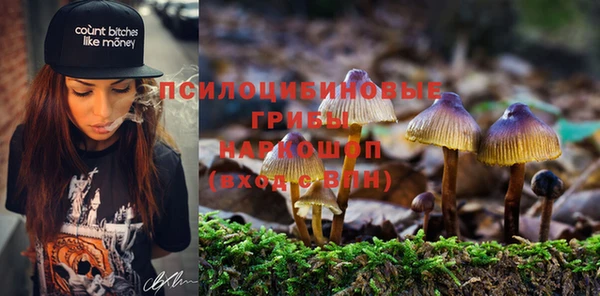 мдпв Иноземцево
