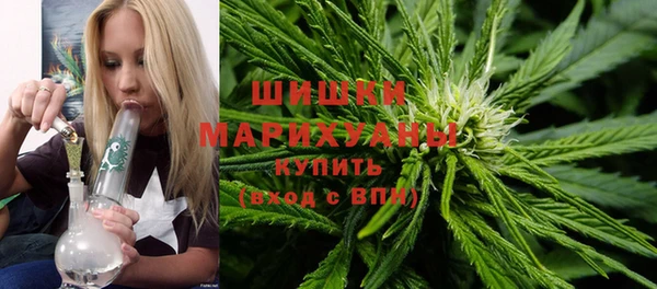 сатива Корсаков